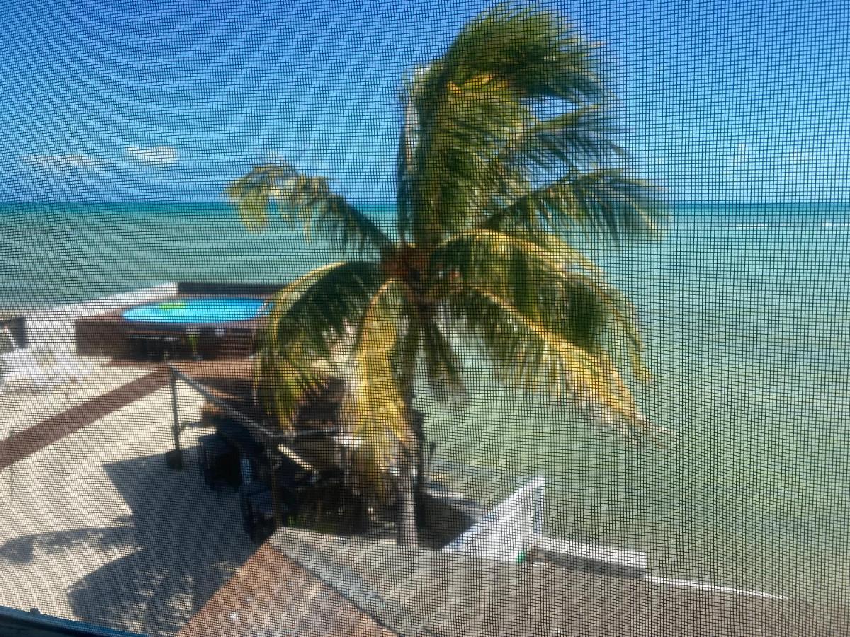 New Starfish Villa - Calypso House Apartment Nassau